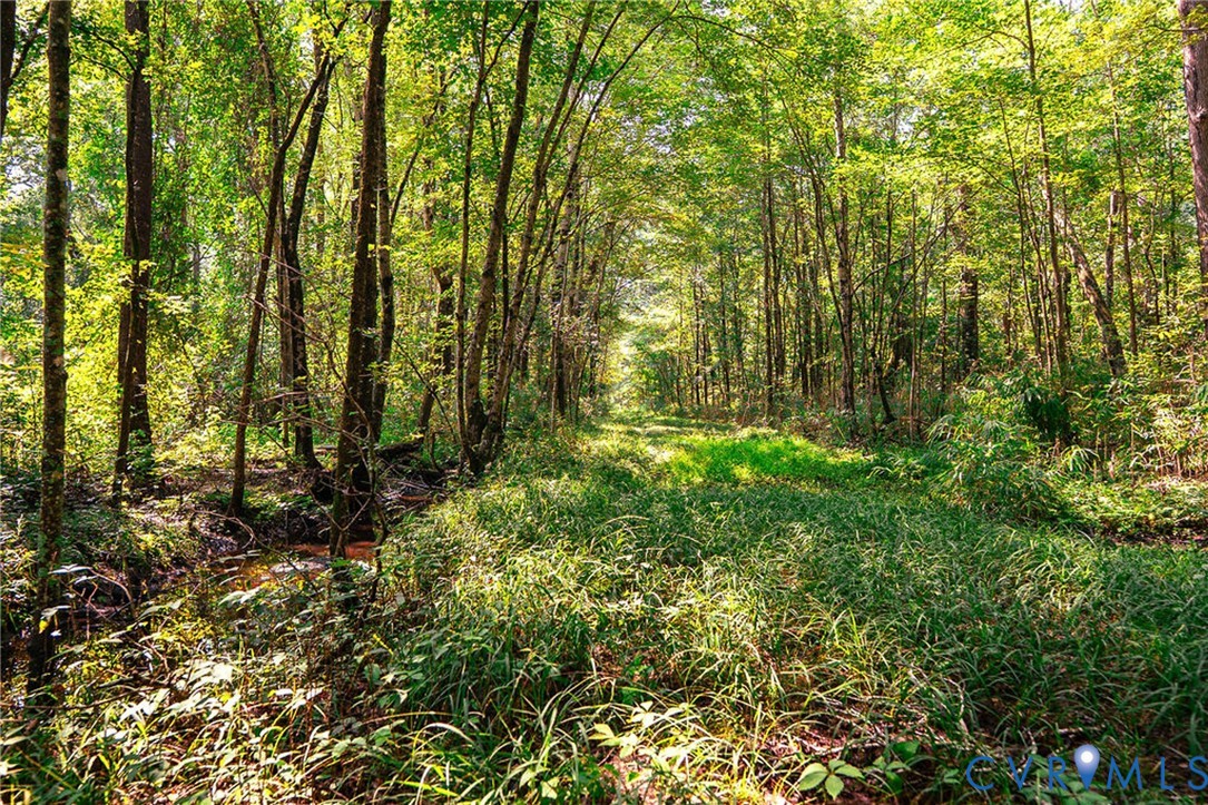 663.8 Acres Peach Road Property Photo 20