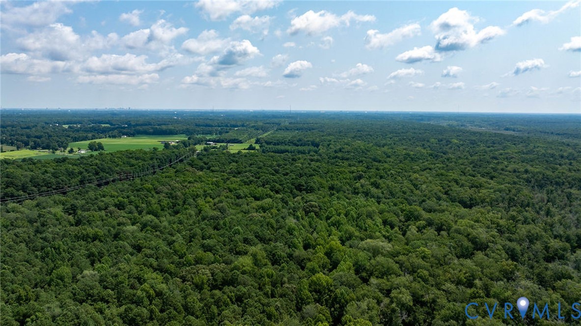 663.8 Acres Peach Road Property Photo 21