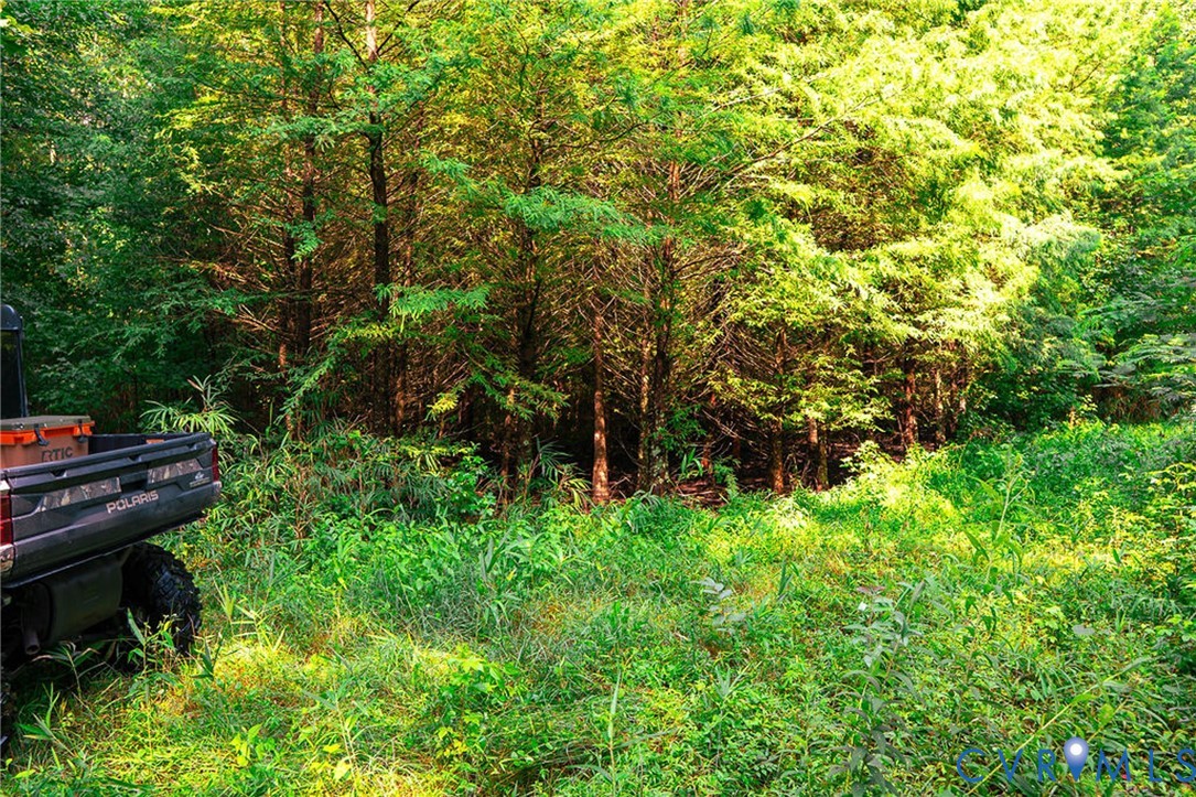 663.8 Acres Peach Road Property Photo 22