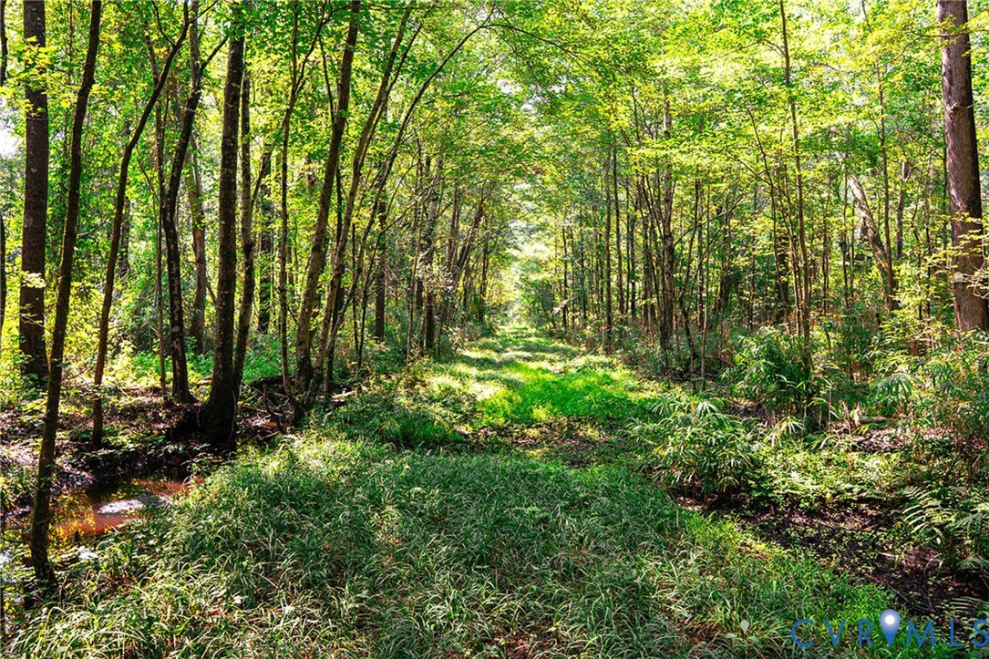 663.8 Acres Peach Road Property Photo 23