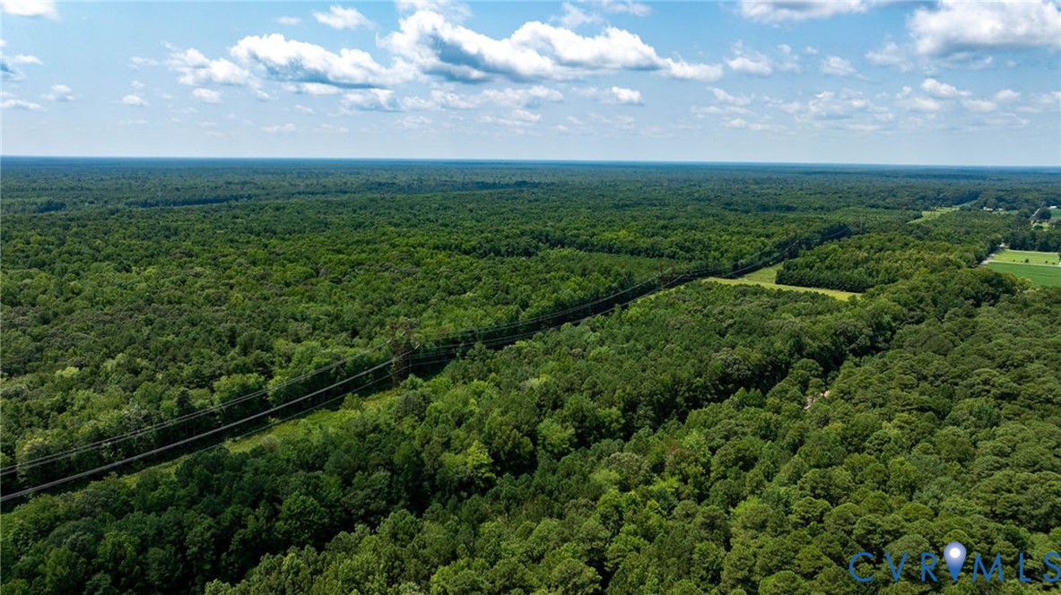 663.8 Acres Peach Road Property Photo 25