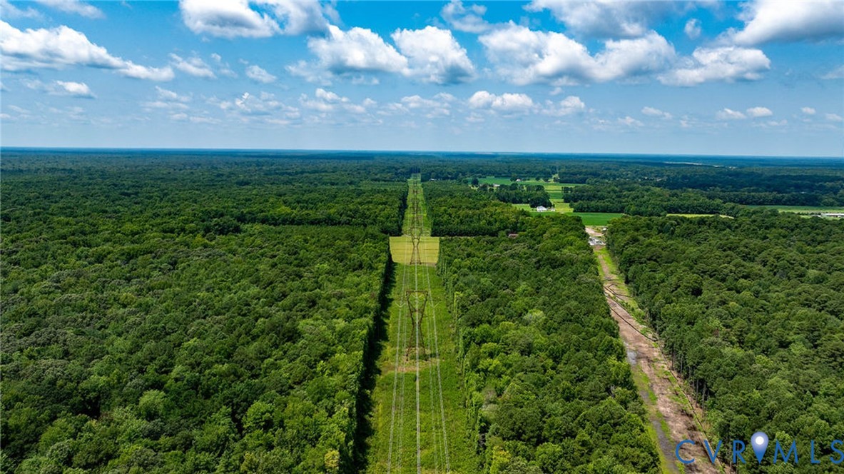 663.8 Acres Peach Road Property Photo 28