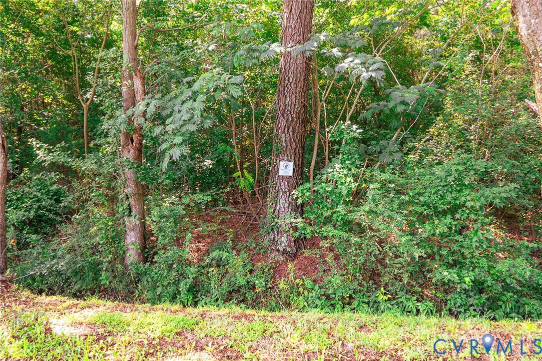 663.8 Acres Peach Road Property Photo 29