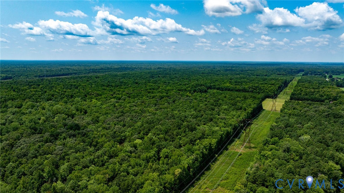 663.8 Acres Peach Road Property Photo 30
