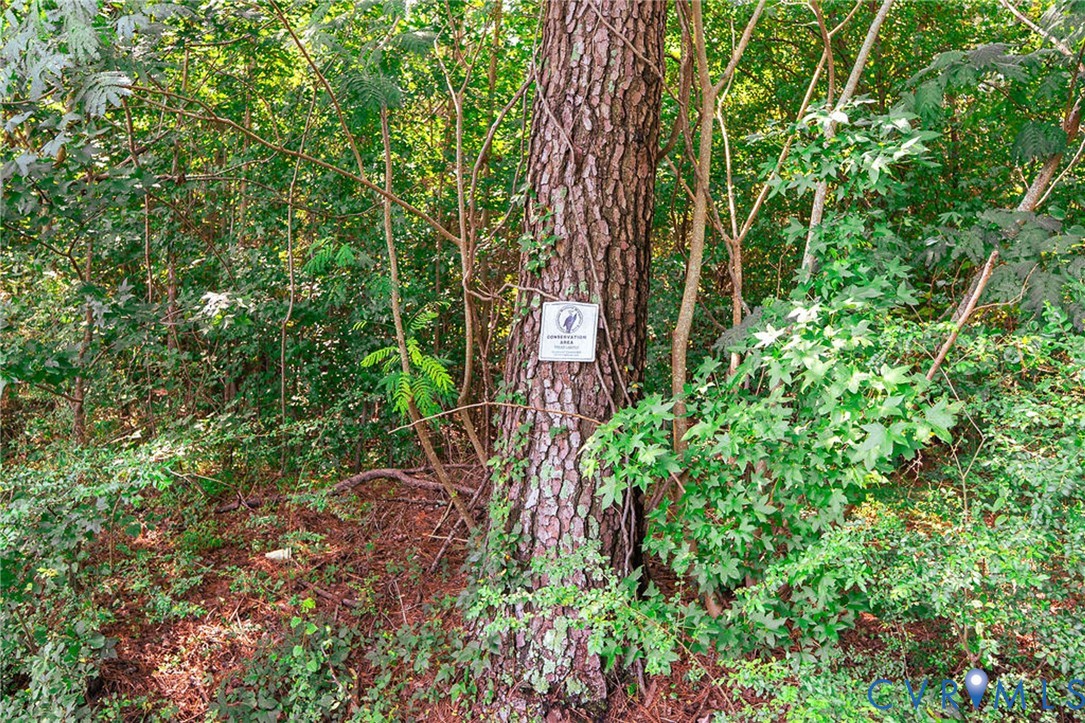 663.8 Acres Peach Road Property Photo 31
