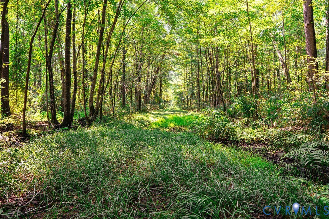663.8 Acres Peach Road Property Photo 32