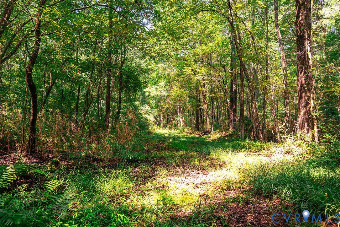 663.8 Acres Peach Road Property Photo 33