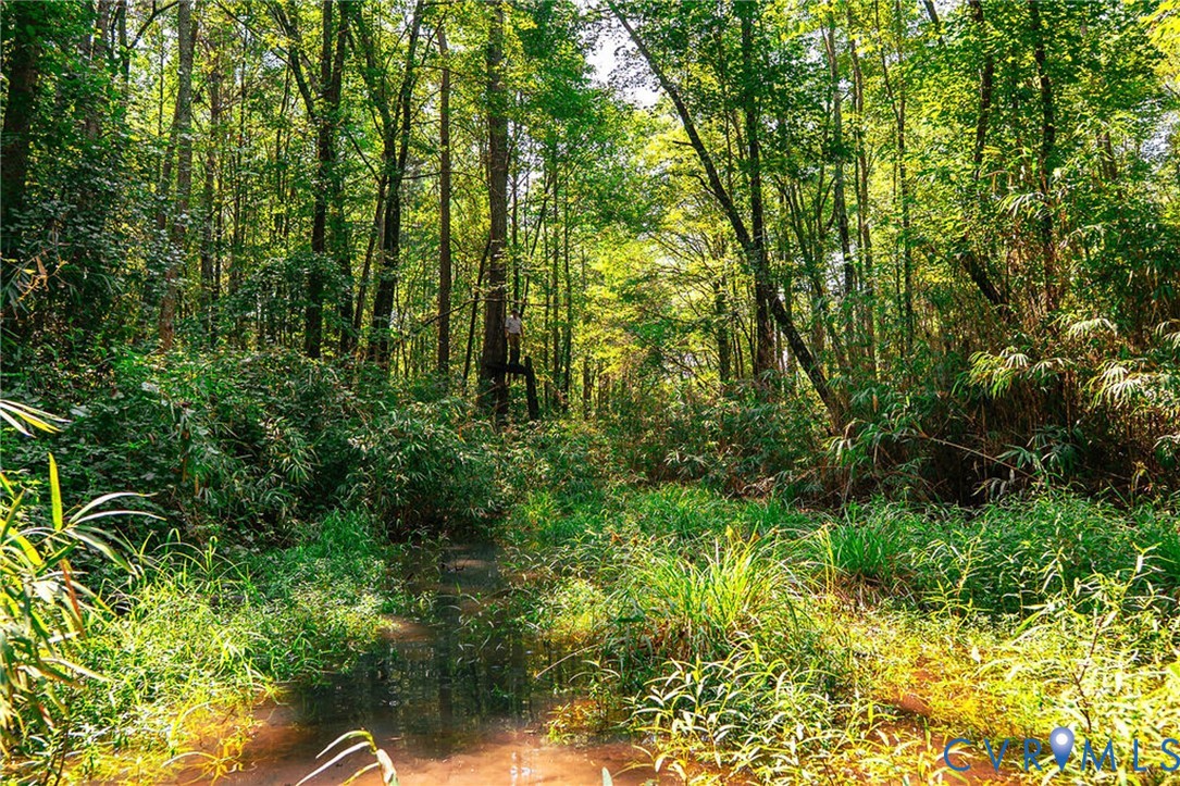 663.8 Acres Peach Road Property Photo 34
