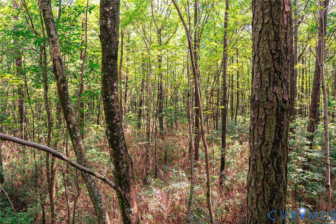 663.8 Acres Peach Road Property Photo 35