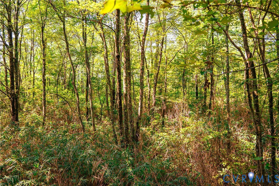 663.8 Acres Peach Road Property Photo 36