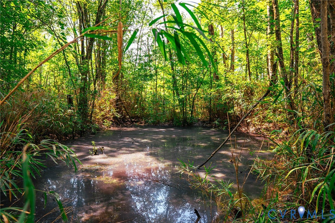 663.8 Acres Peach Road Property Photo 41