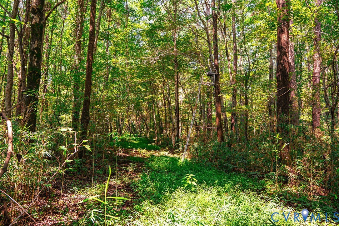 663.8 Acres Peach Road Property Photo 42