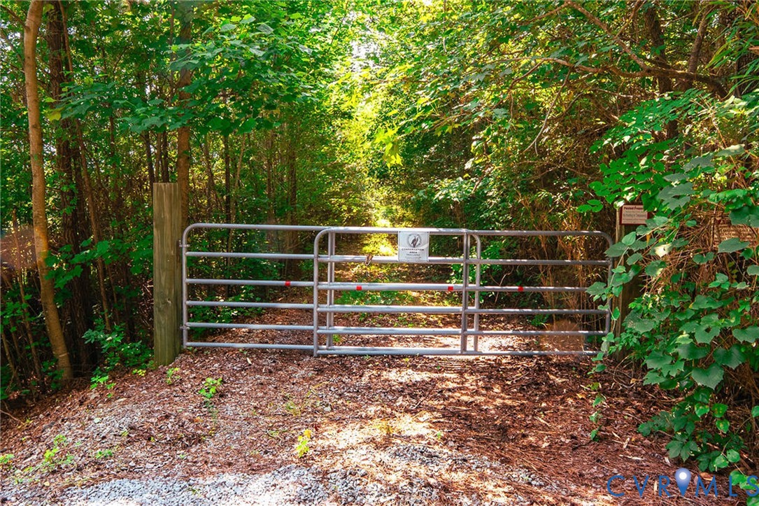 663.8 Acres Peach Road Property Photo 43