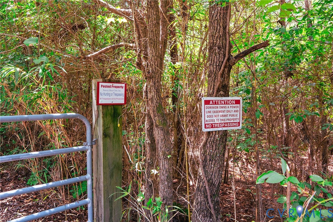 663.8 Acres Peach Road Property Photo 44