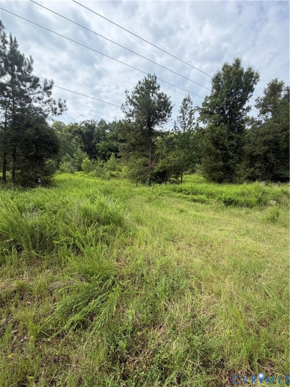 Tbd Lot 1 Rolfe Hwy Property Photo 2