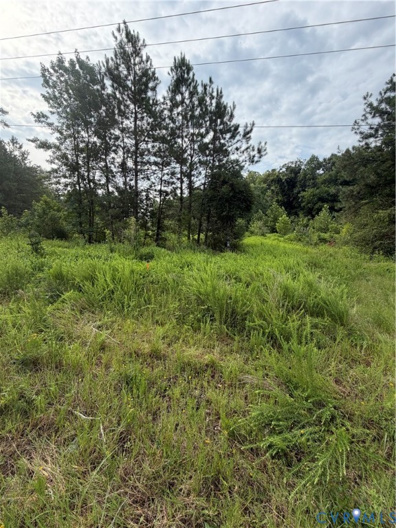 Tbd Lot 2 Rolfe Hwy Property Photo 1