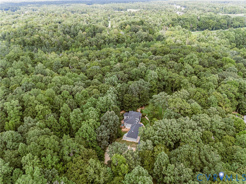 7081 Harrison Bluff Ln Property Photo 78