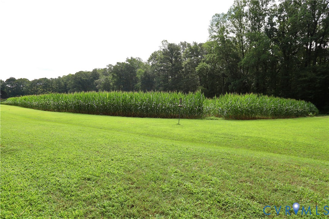 18105 Wards Creek Rd Property Photo 53