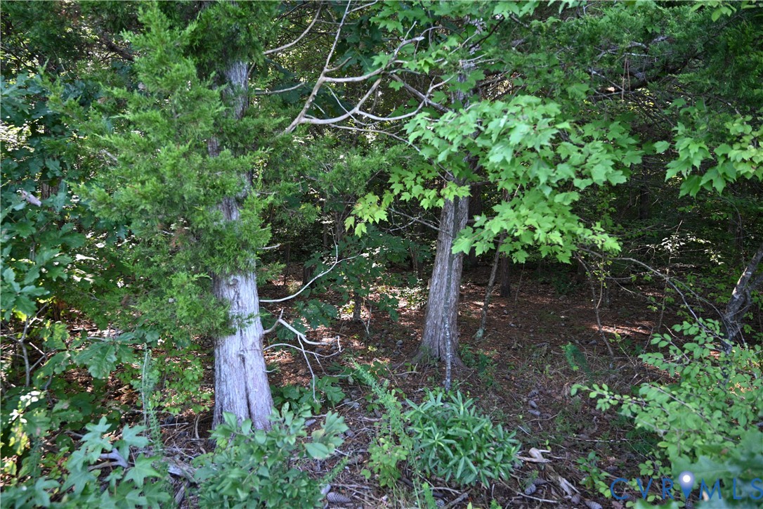 0 Waterfence Rd Property Photo 33