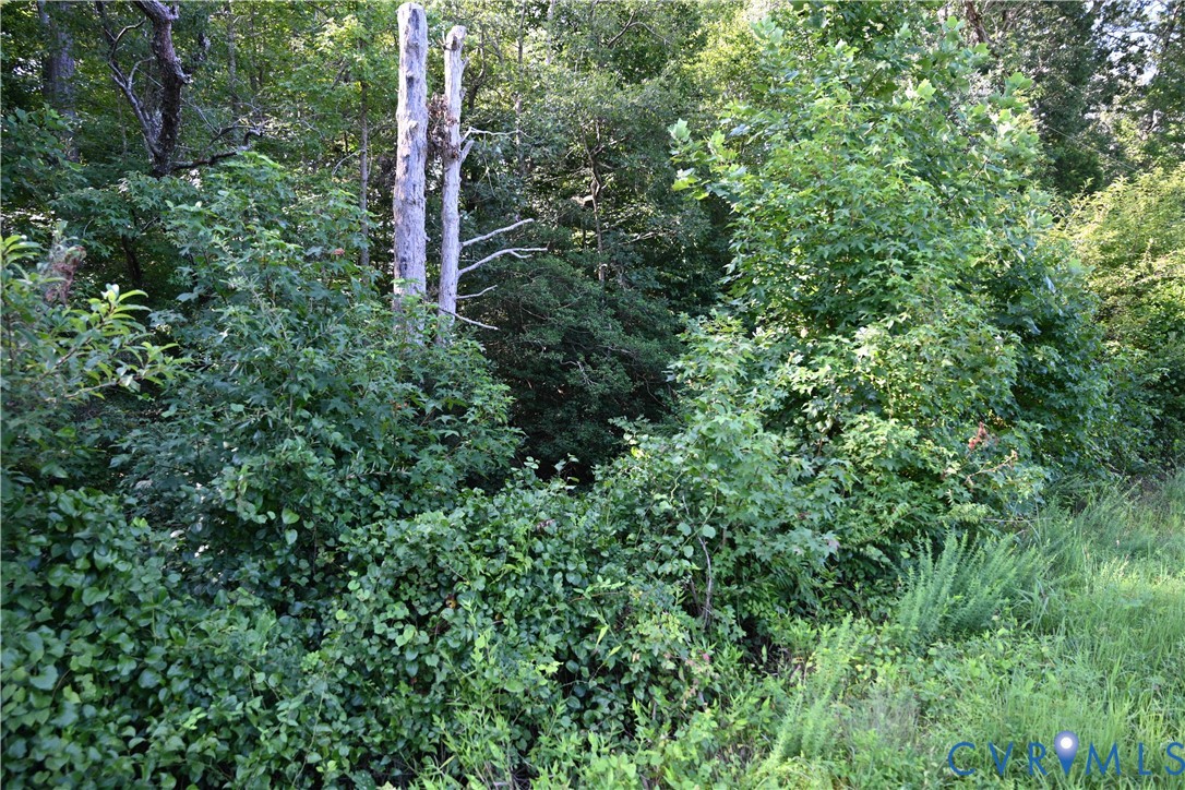 0 Waterfence Rd Property Photo 34