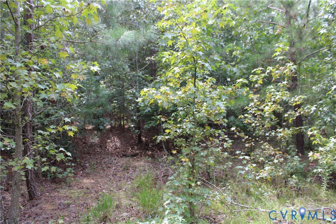 Tbd2 Olivet Church Rd Property Photo 5