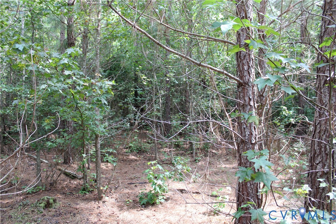 Tbd2 Olivet Church Rd Property Photo 6