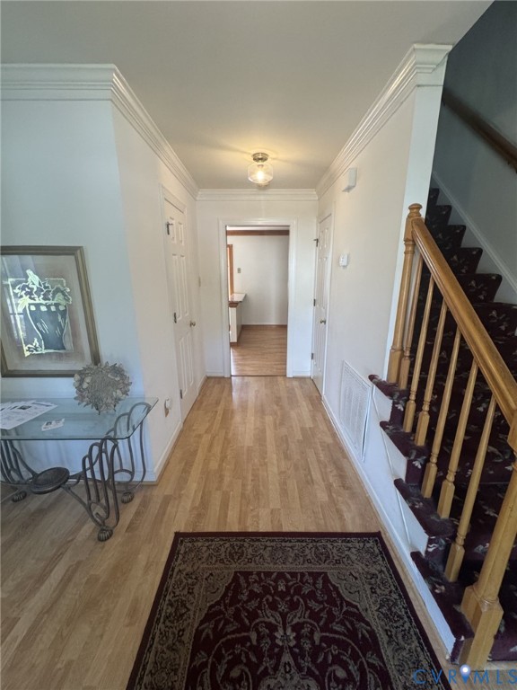 10309 Attems Way Property Photo 9