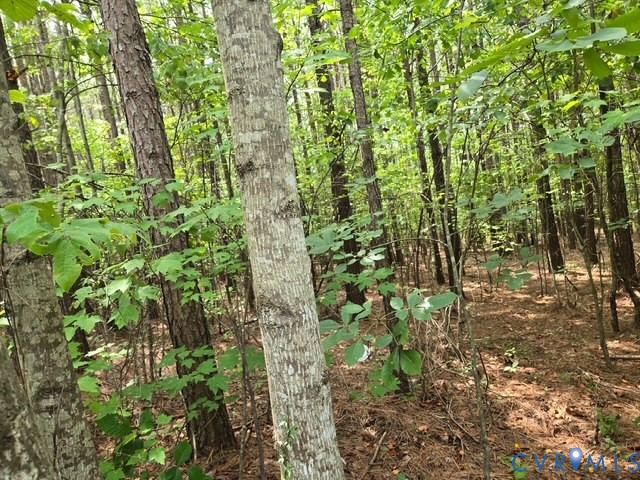 000 Miller Camp Rd Property Photo 3