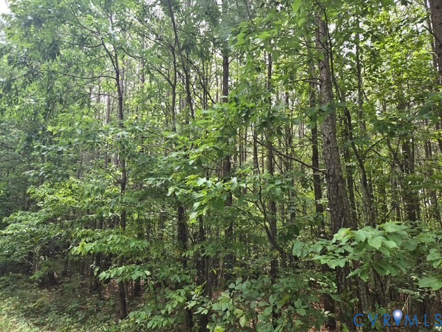000 Miller Camp Rd Property Photo 5