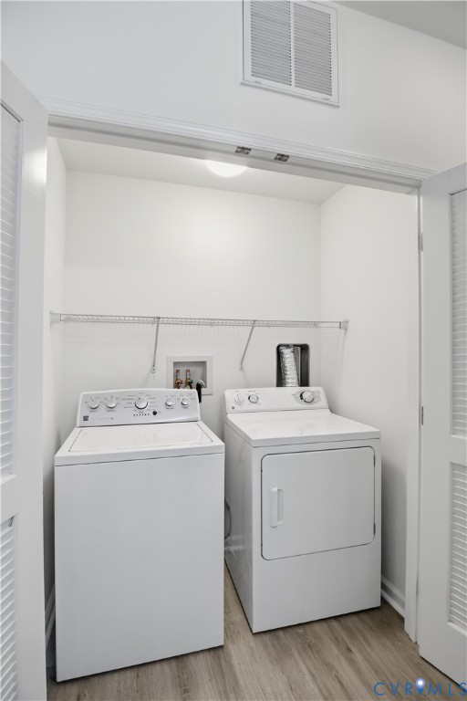 10513 Tea Olive Cir Property Photo 13
