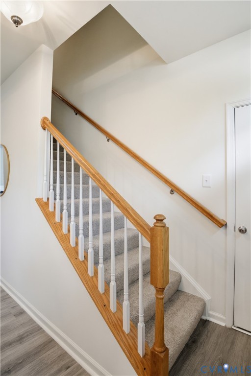 10513 Tea Olive Cir Property Photo 21