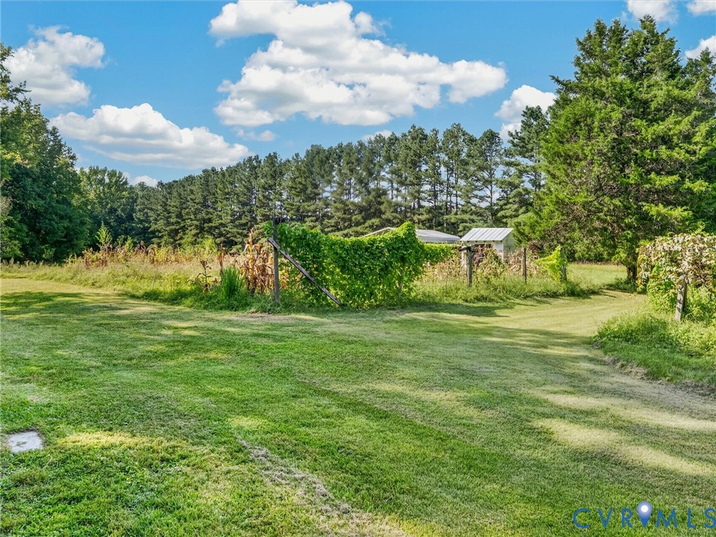 10900 Coalboro Rd Property Photo 12