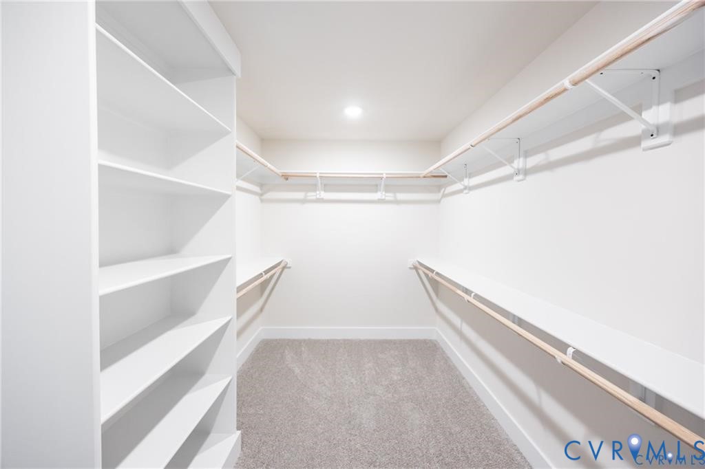 3611 Branch Lake Ct Property Photo 23