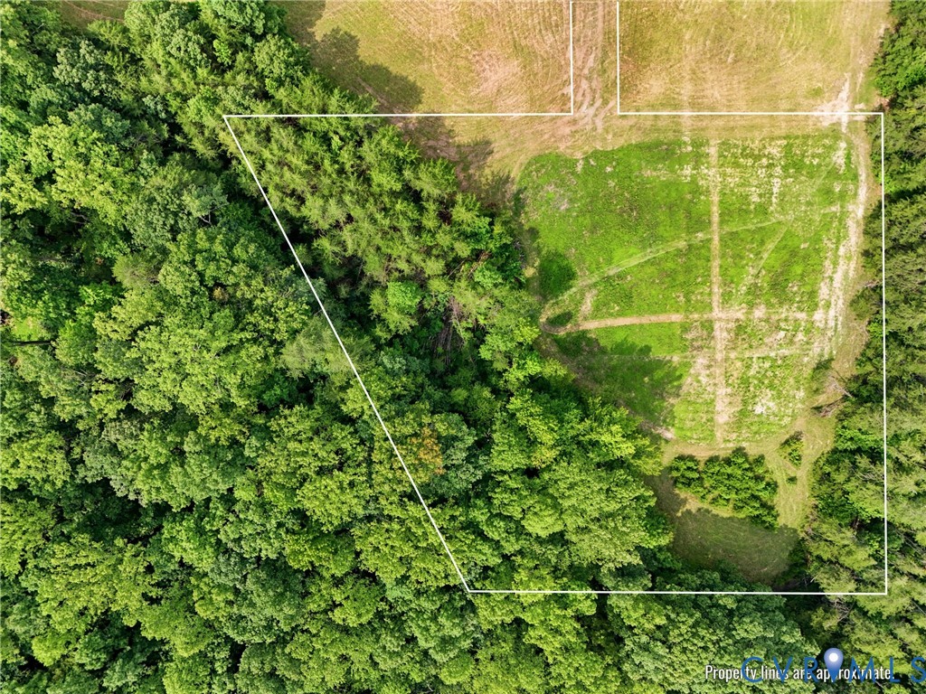 10672 Cross County Rd Property Photo 15