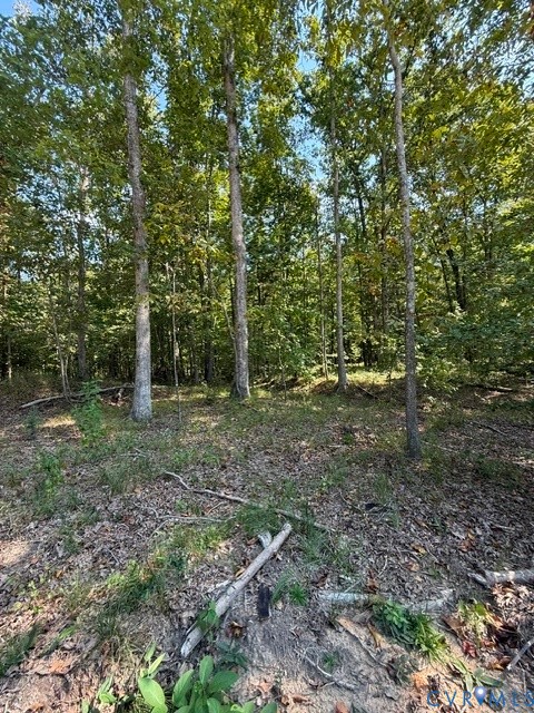 00 Hidden Springs Property Photo 1