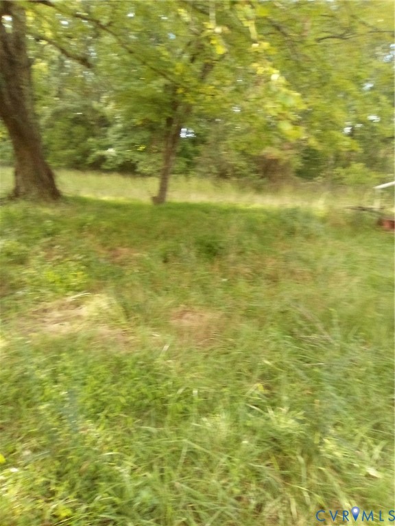 258 Twin Pine Rd Property Photo 4