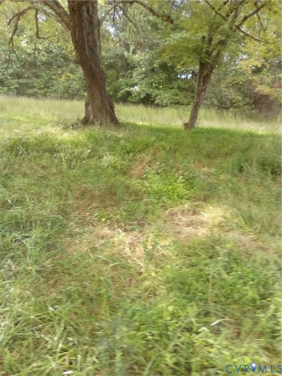 258 Twin Pine Rd Property Photo 5