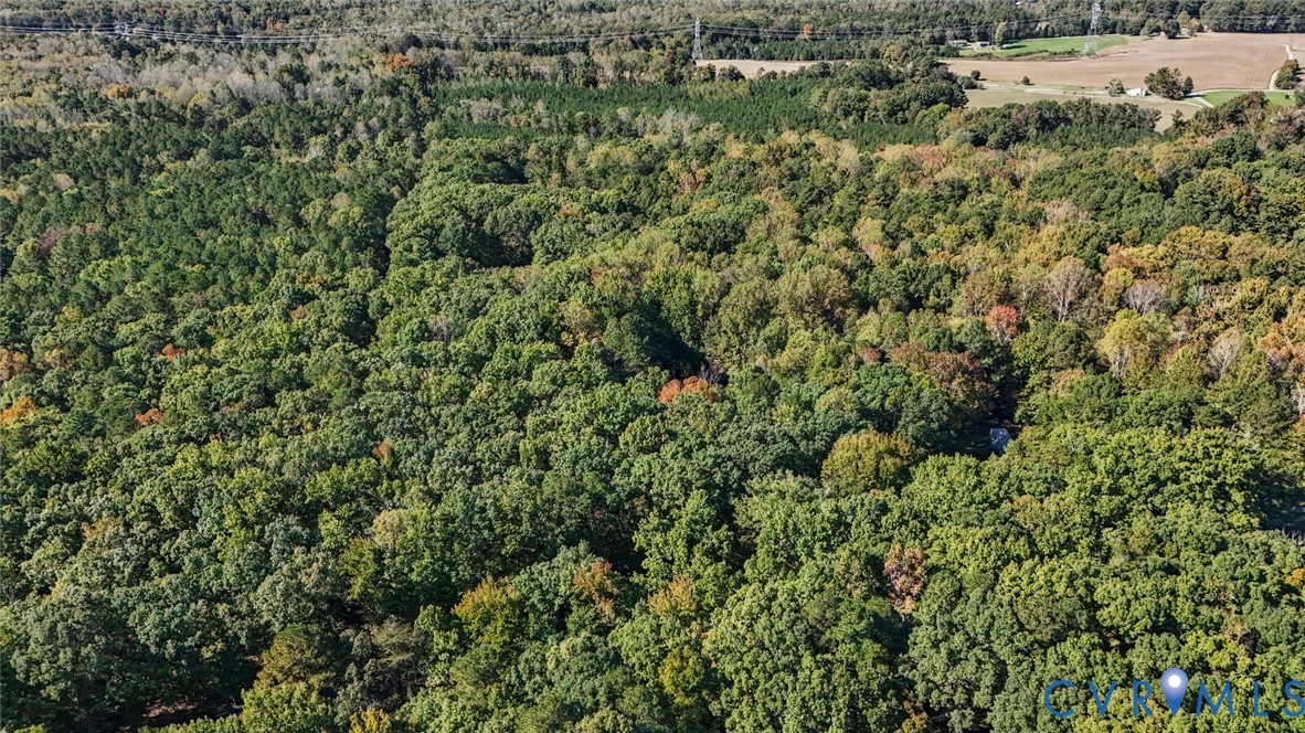 15227 Horseshoe Bridge Rd Property Photo 9