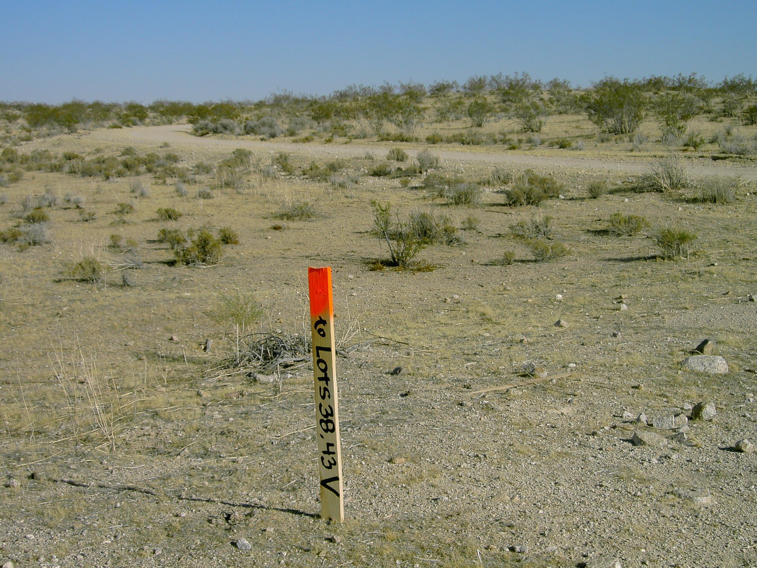 Cindy Drive Property Photo 2