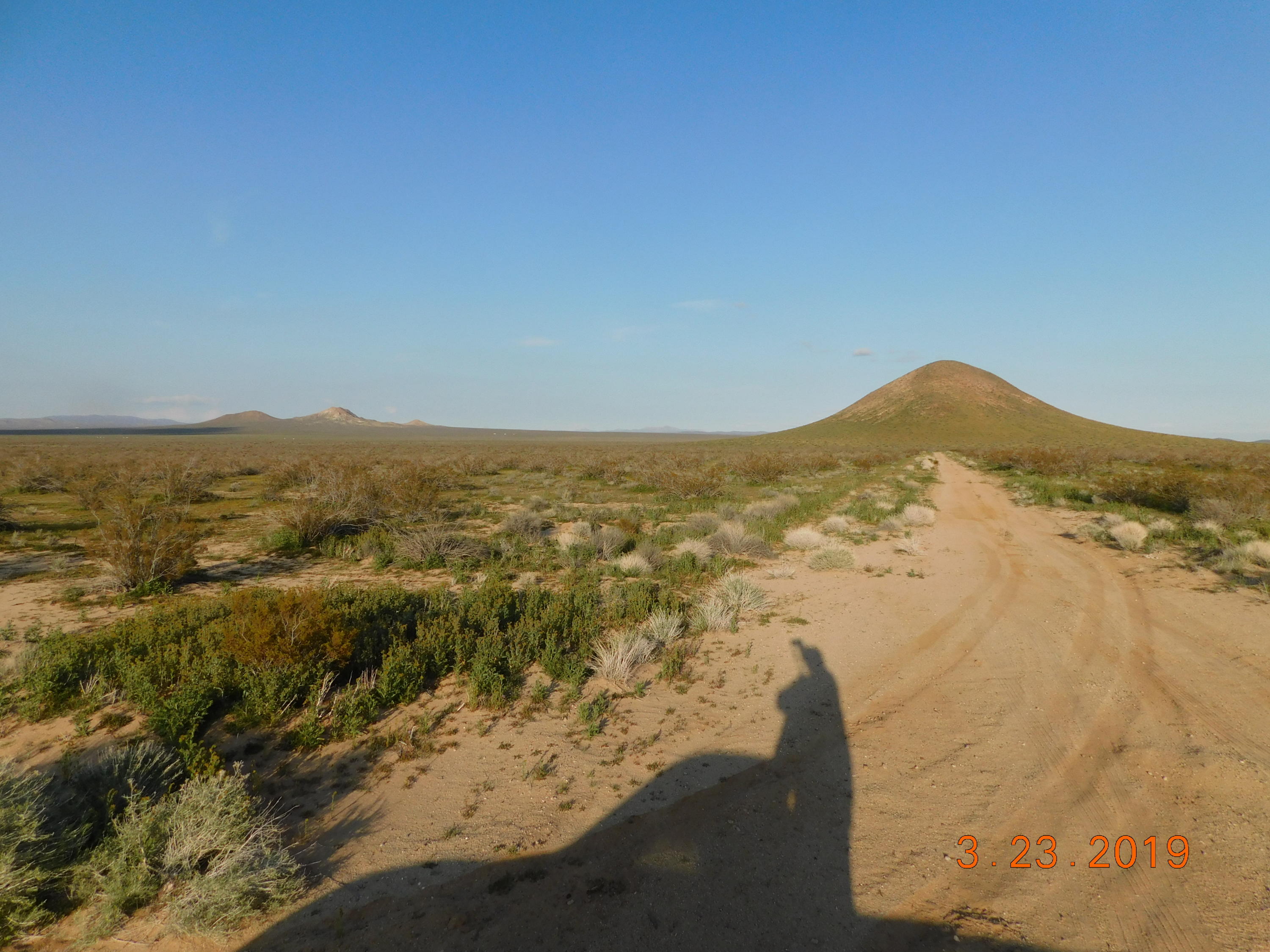 Joshua Boulevard Property Photo 3