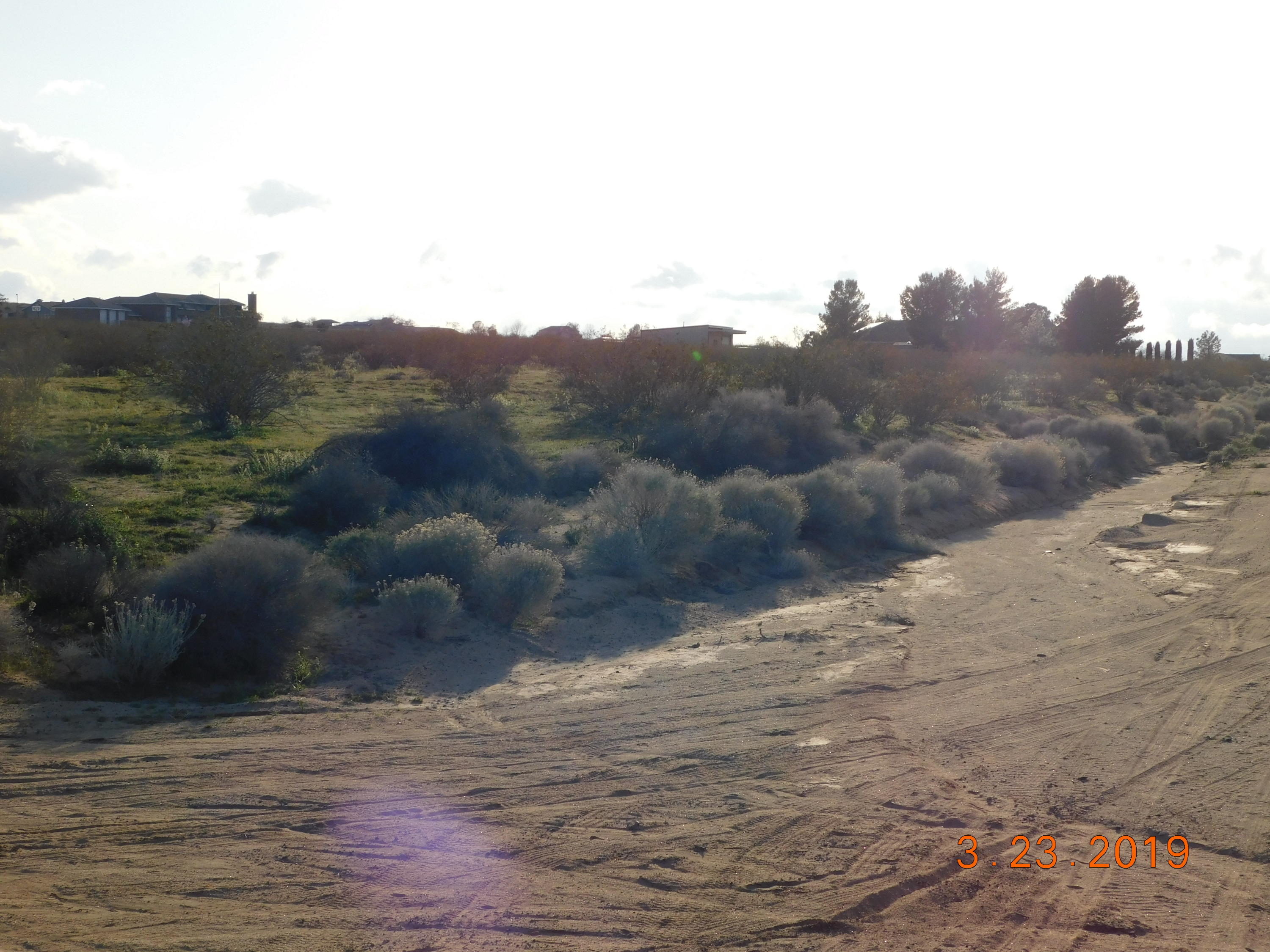 Joshua Boulevard Property Photo 4