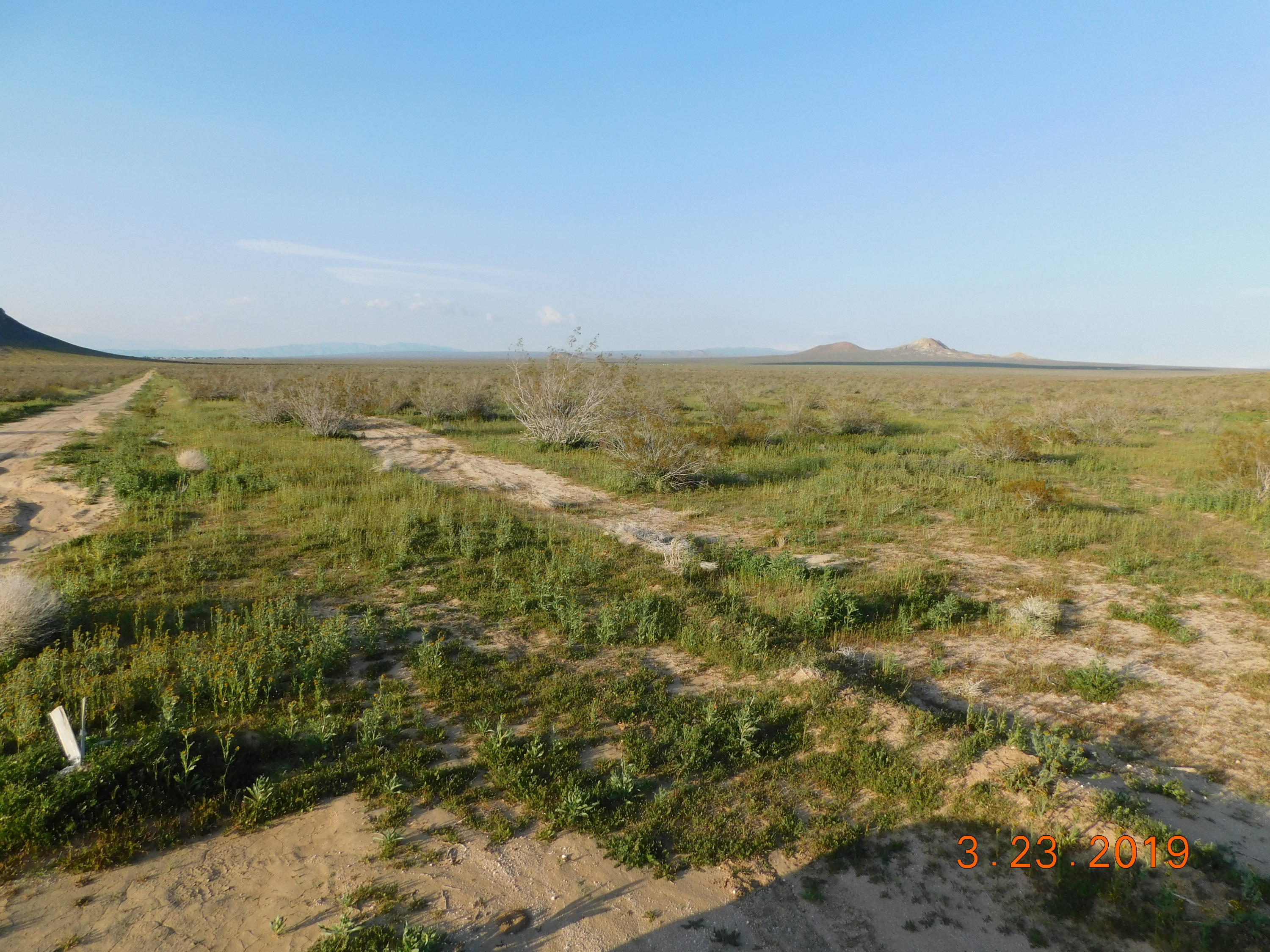 Joshua Boulevard Property Photo 8