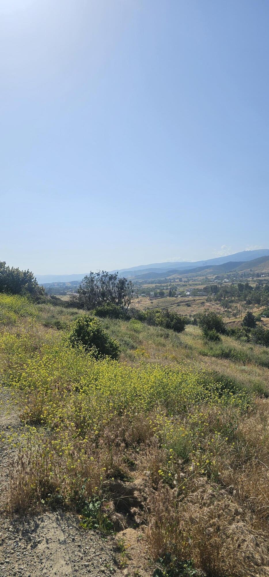 Sierra Highway Property Photo 22