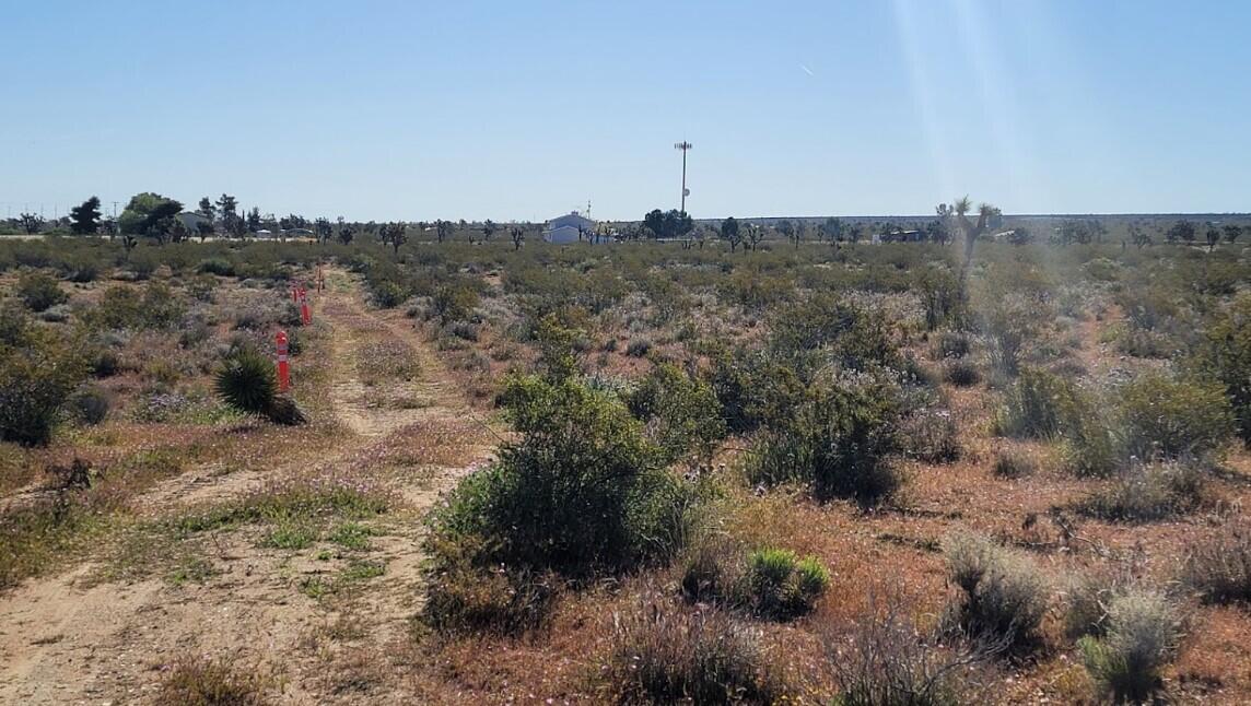 Pearblossom Hwy & 184th St E Property Photo 2