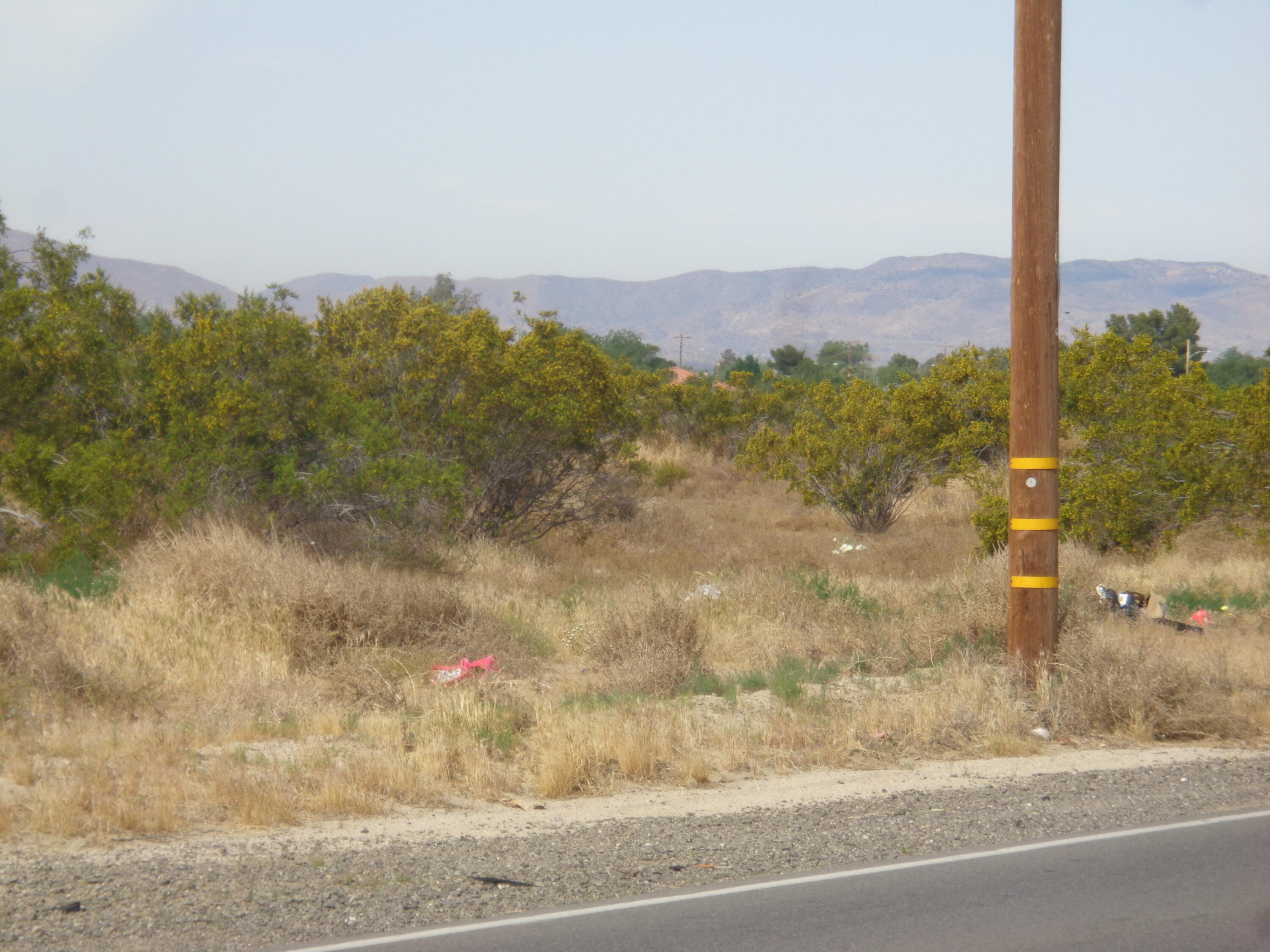 108th Ste Palmdale Blvd Property Photo 5