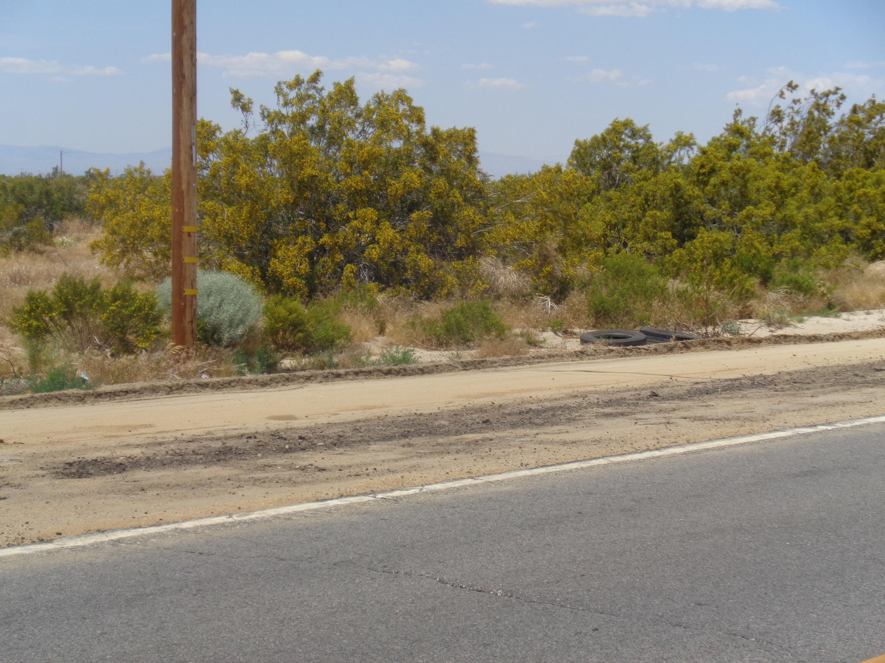 108th Ste Palmdale Blvd Property Photo 18