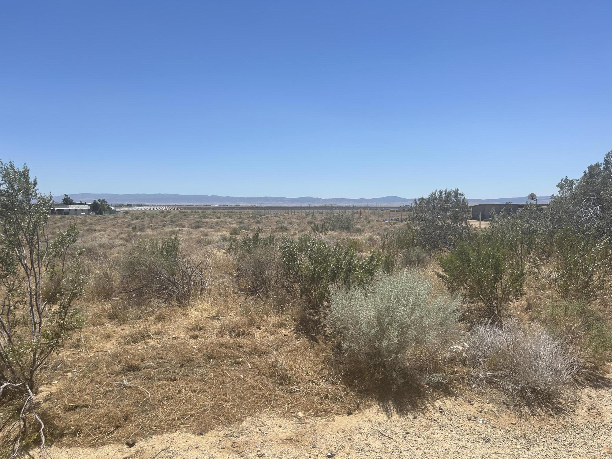 Rosamond Blvd Property Photo 5