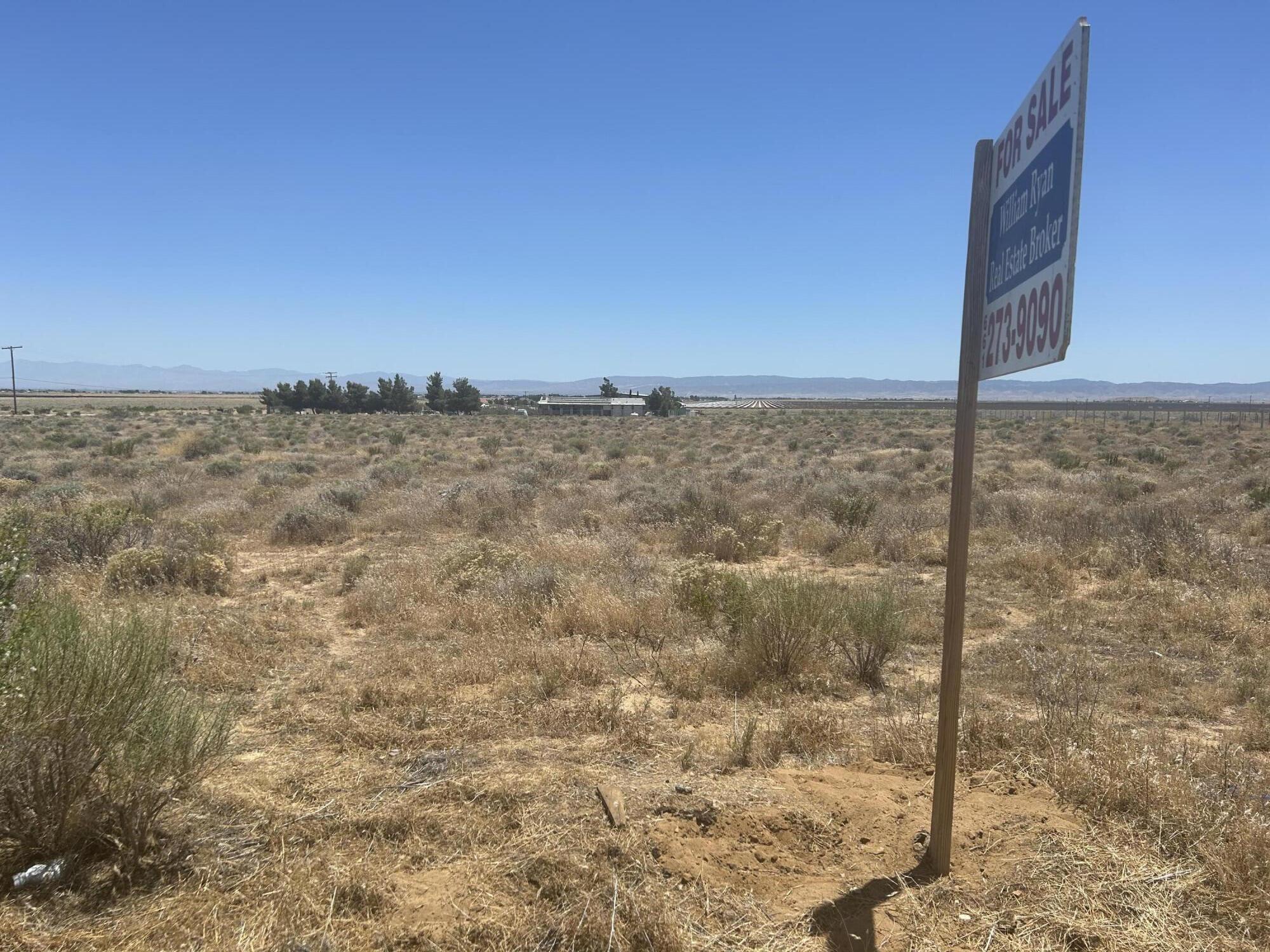 Rosamond Blvd Property Photo 17