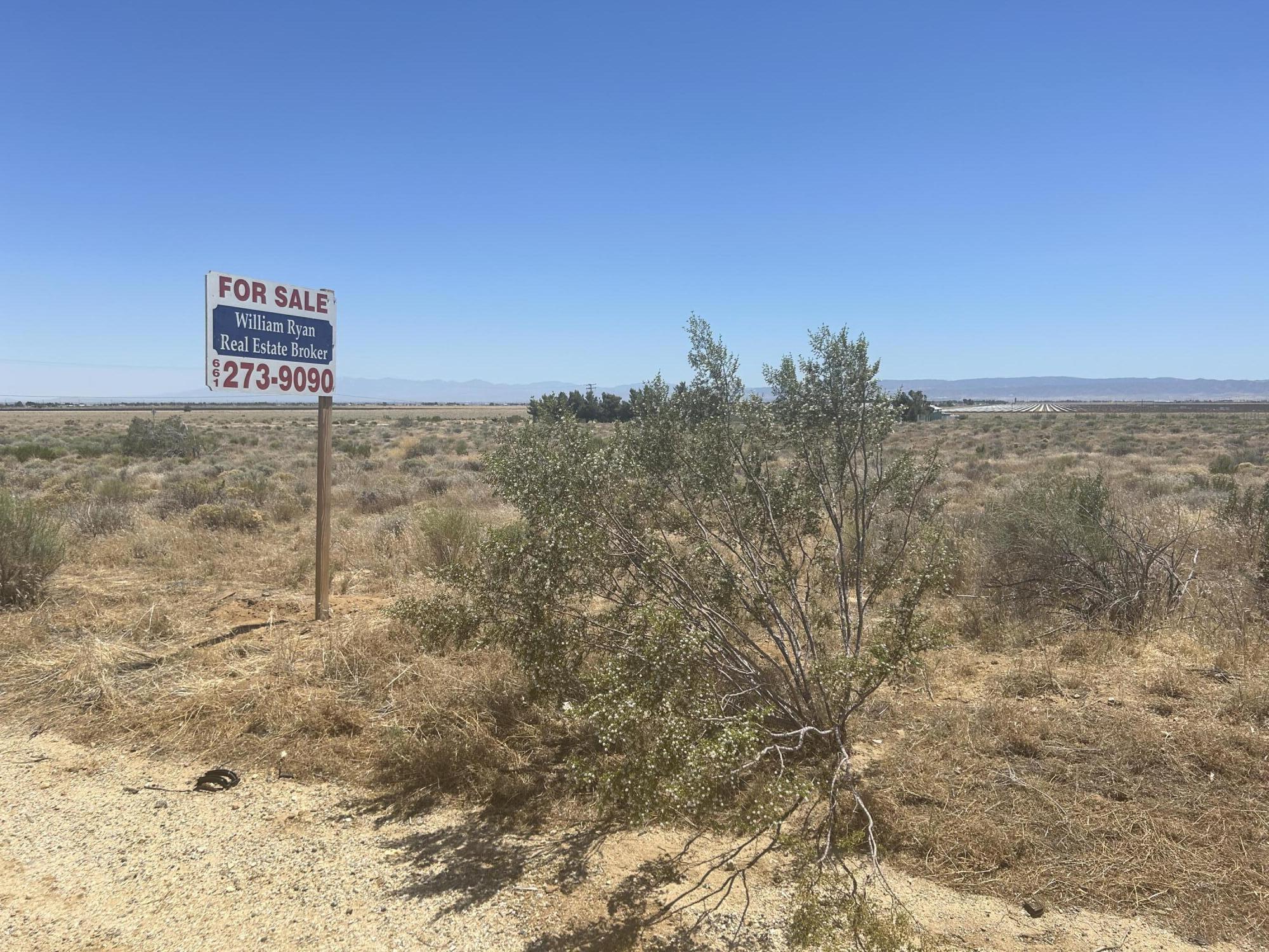 Rosamond Blvd Property Photo 18