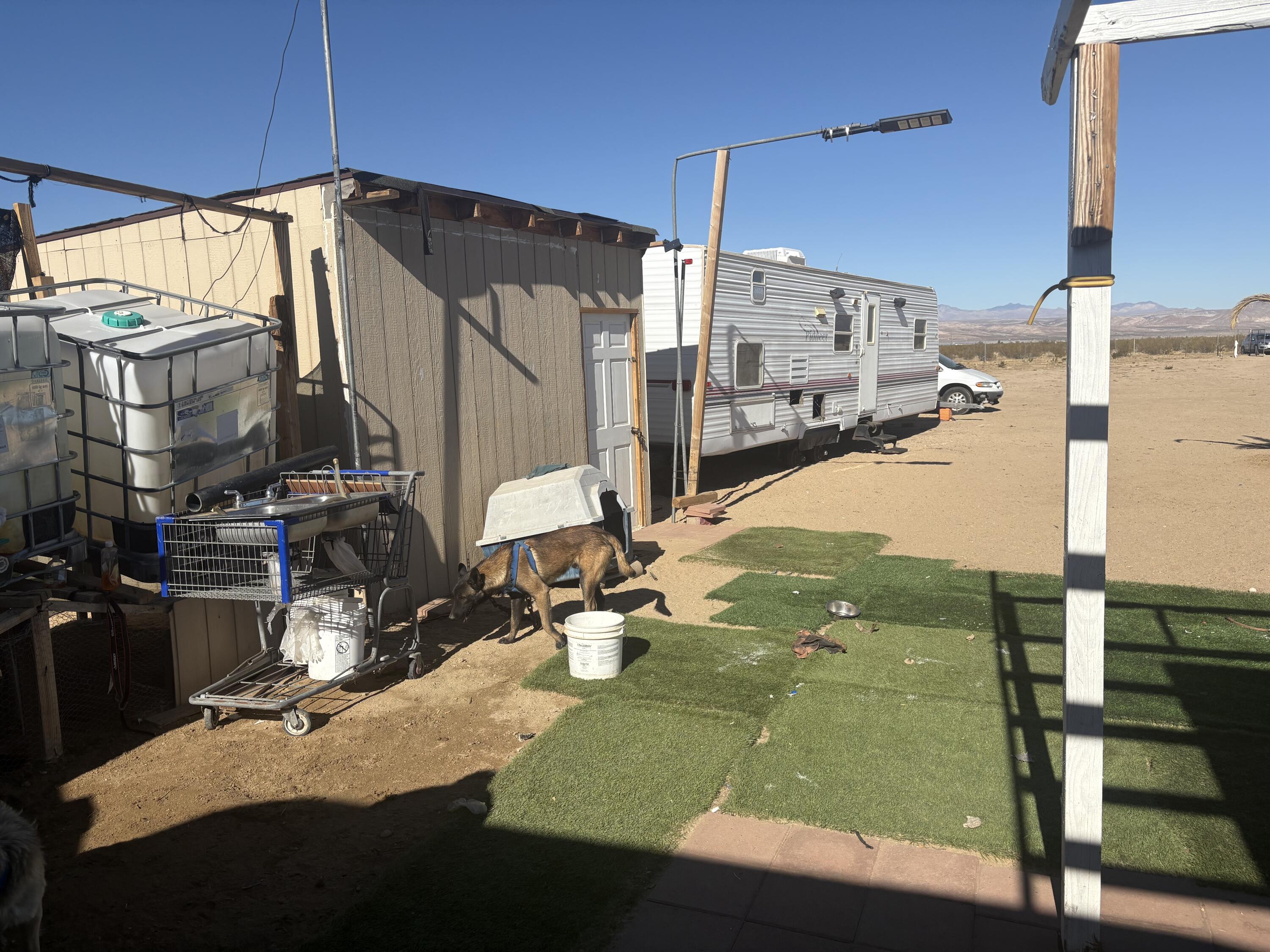Daley Avenue Property Photo 5